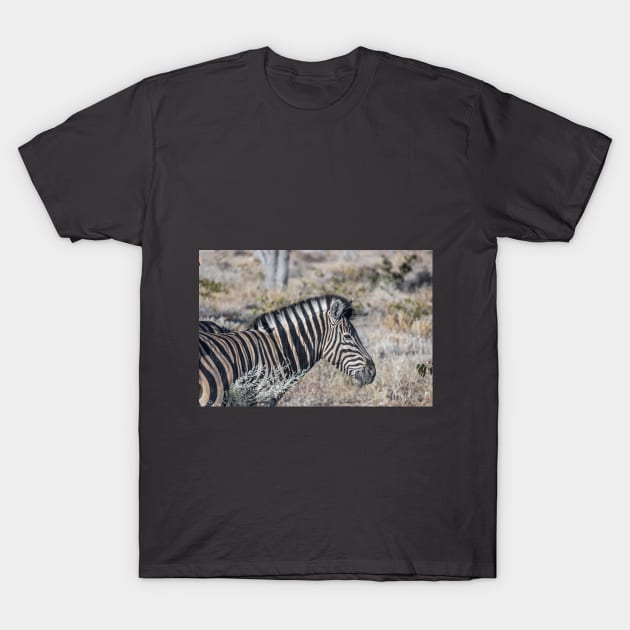 Namibia. Etosha National Park. Zebra. T-Shirt by vadim19